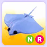 Pet | Stingray NR Neon