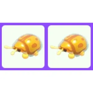 Golden Tortoise Beetle x2