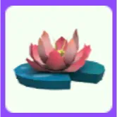 Pink Lotus