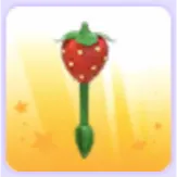 Limited | Strawberry Rattle
