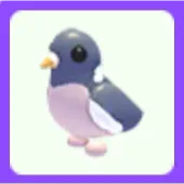 Pet | Wood Pigeon Adopt Me