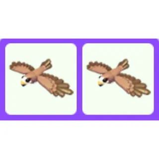 Black Kite Bundle x2