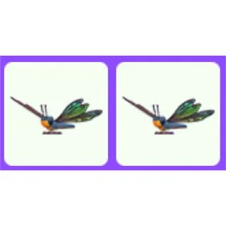 Clubtail Dragonfly x2