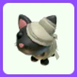 Black Mummy Cat