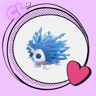 Icy Porcupine