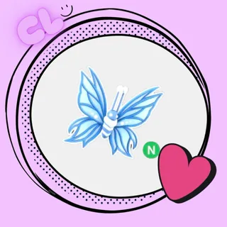 Birthday Butterfly 2024 N