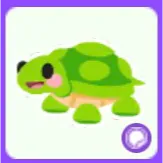 Turtle Sticker