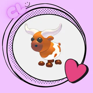 Longhorn Cow