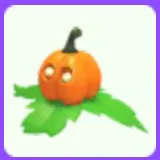 Pumpkin Friend