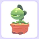 Venus Flytrap Hat