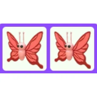 Pet | Scarlet Butterfly x2