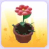 Growing Flower Hat