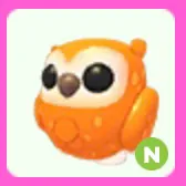 Clementine Owl N