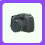 Camera Adopt Me
