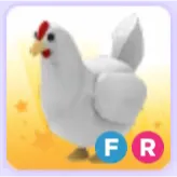 Pet | Chicken FR