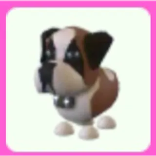 St Bernard