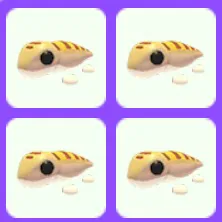 Sandfish x4