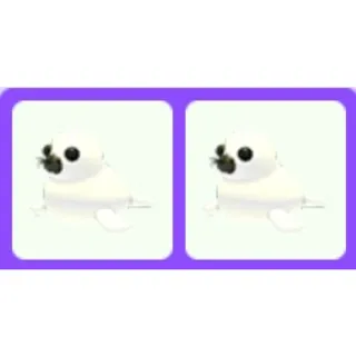 Harp Seal x2