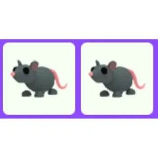 Pet | Rat x2