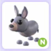Pet | Donkey N Neon