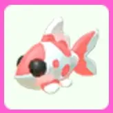 Koi Carp