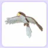 Hawk
