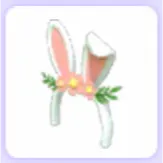 Limited | Flower Bunny Ears