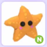 Starfish N