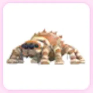 Mummy Spider