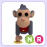 Pet | Toy Monkey NR Neon