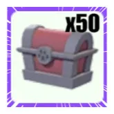 Standard Chest x50