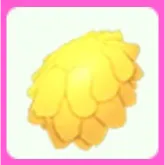 Lion’s Mane