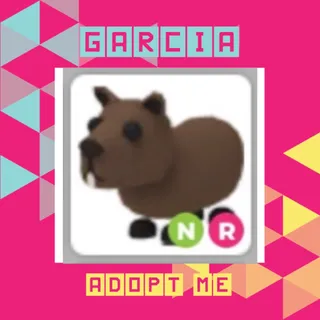 NR Capybara
