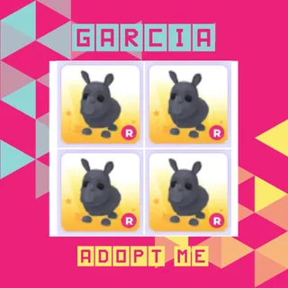 4x R Rhino