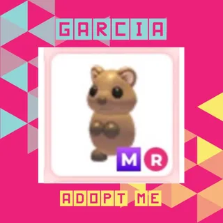 MR Quokka