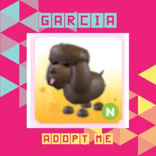 Neon Irish Water Spaniel