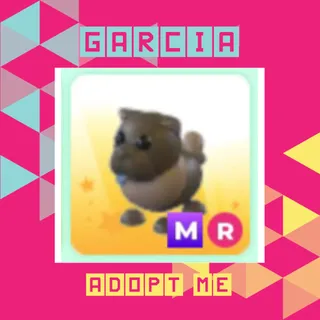 MR Chocolate Chow Chow