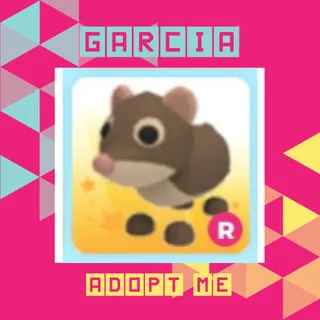 R Shrew
