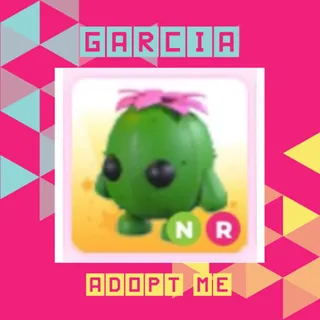 NR Cactus Friend