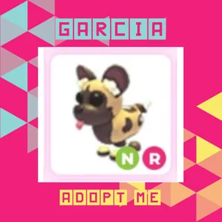 NR African Wild Dog