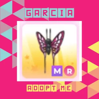 MR 2022 Uplift Butterfly