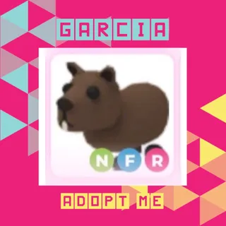 NFR Capybara