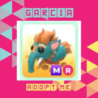 MR Baku