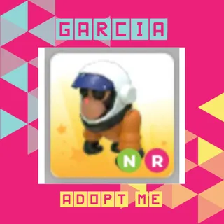 NR Astronaut Gorilla
