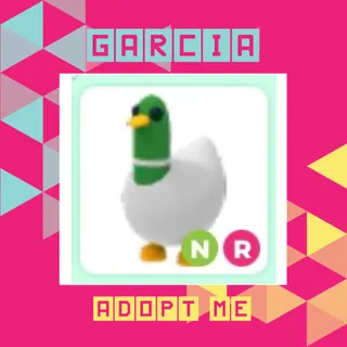 NR Silly Duck