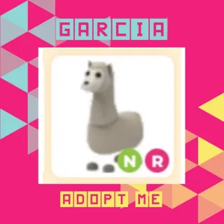 NR Llama