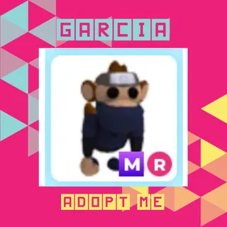 MR Ninja Monkey