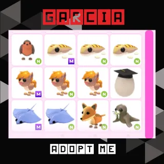 11x ADOPT ME PET CHEAP