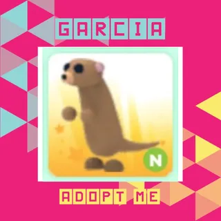 Neon Meerkat