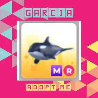 MR Orca